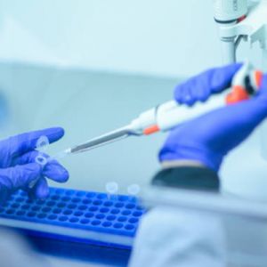 Pharmaceutical Sector